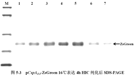 ca88_ca888亚洲城登录入口