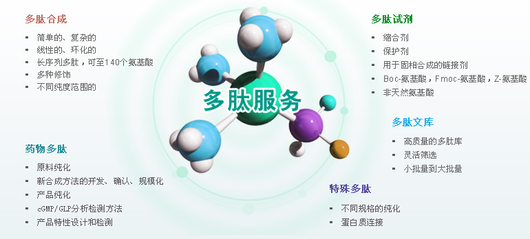 多肽合成效劳 多肽合成效劳
