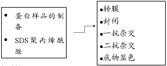 ca88_ca888亚洲城登录入口
