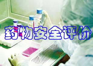 药物清静评价