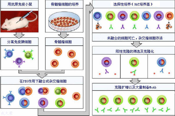 ca88_ca888亚洲城登录入口