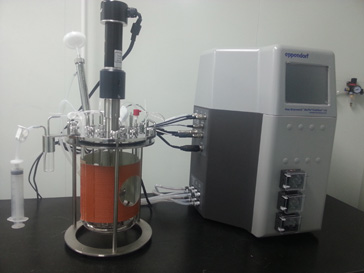 CA88的生物药（抗体）实验室即将投入使用