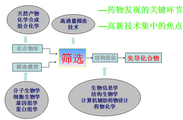 药物筛选模子流程图