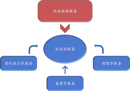 CA88临床前效劳
