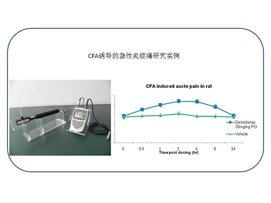 ca88_ca888亚洲城登录入口