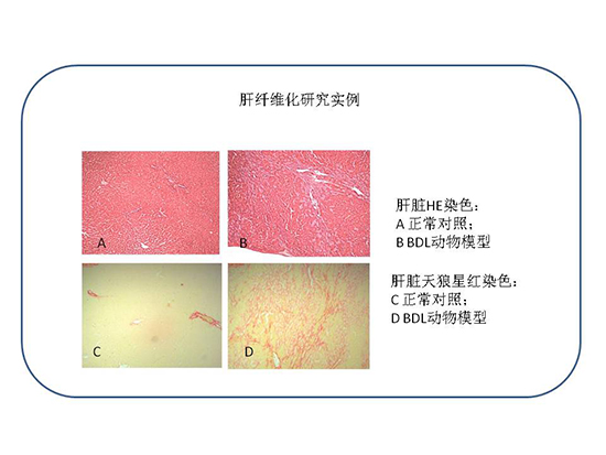 ca88_ca888亚洲城登录入口