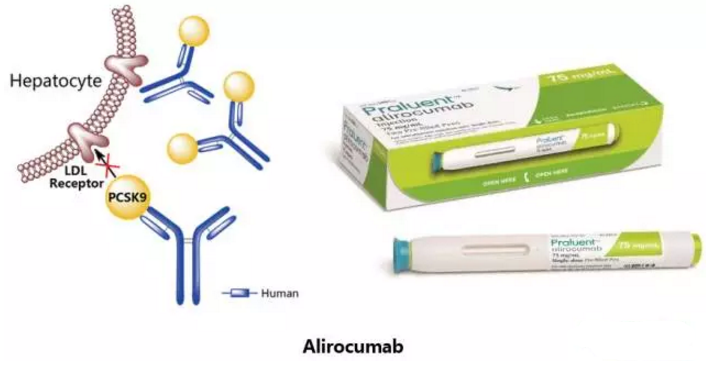 ca88_ca888亚洲城登录入口