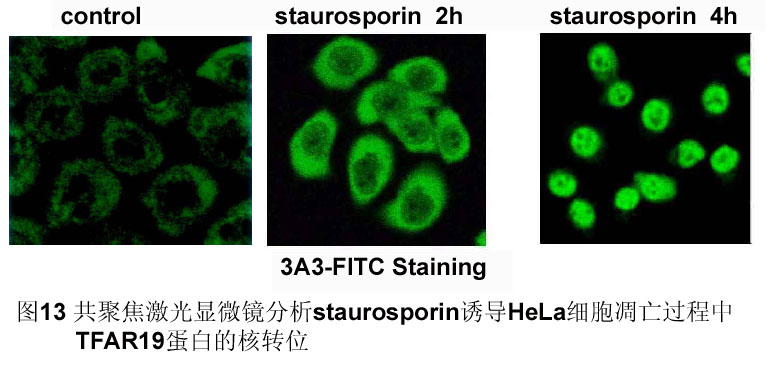 ca88_ca888亚洲城登录入口