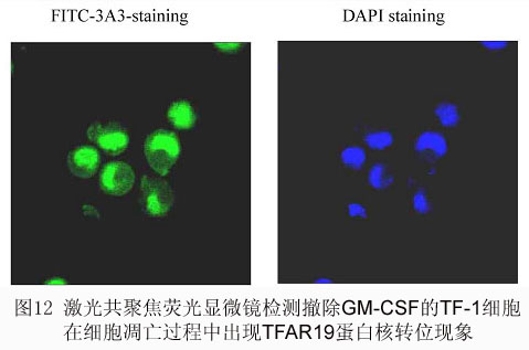 ca88_ca888亚洲城登录入口