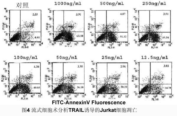 ca88_ca888亚洲城登录入口