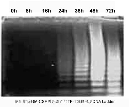 ca88_ca888亚洲城登录入口