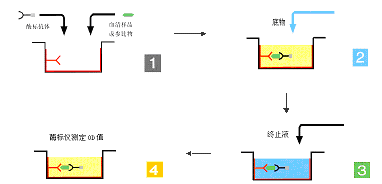 ca88_ca888亚洲城登录入口