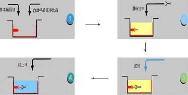ca88_ca888亚洲城登录入口