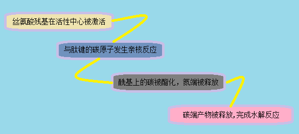 ca88_ca888亚洲城登录入口