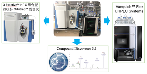 CA88UHPLC-UV-QE HF-X系统