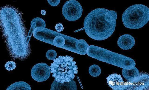 20分钟，，，，大大都细菌都可以繁衍一代 CA88生物医药