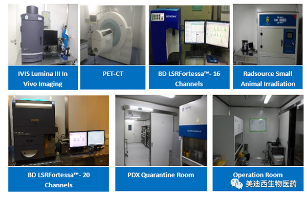 CA88药理部拥有IVIS Lumina III, PET-CT, BD LSRFortessa-16，，，，Flow Cytometry等仪器