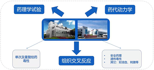 CA88药代以及安评研究效劳.png