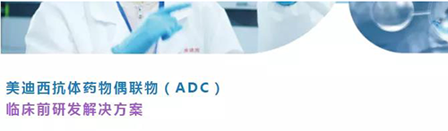 CA88抗体药物偶联物（ADC）临床前研发解决计划.png