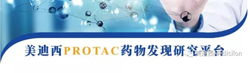 CA88PROTAC药物发明平台.png