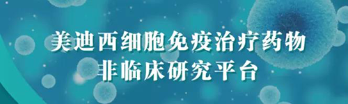 CA88细胞免疫治疗药物非临床研究平台.png