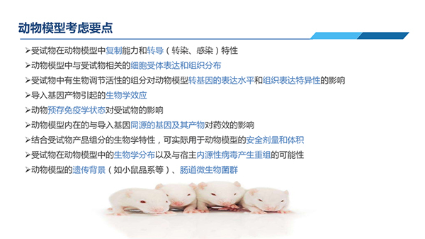 动物模子思量要点.jpg