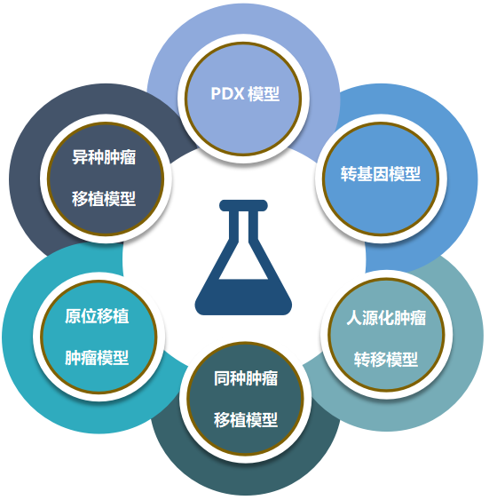 CA88致力于为客户提供成熟的评估ADC体内药效的肿瘤模子.png