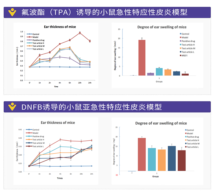 DNFB诱导的小鼠亚急性特应性皮炎模子.png DNFB诱导的小鼠亚急性特应性皮炎模子.png