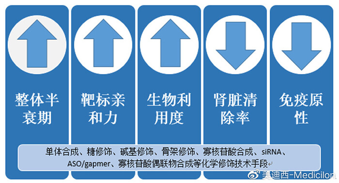 化学修饰手艺对核酸药物影响.jpg