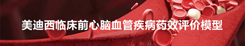 CA88临床前心脑血管疾病模子.jpg