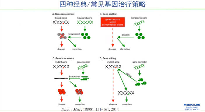图1-四种经典常见基因治疗战略.jpg 图1-四种经典常见基因治疗战略.jpg