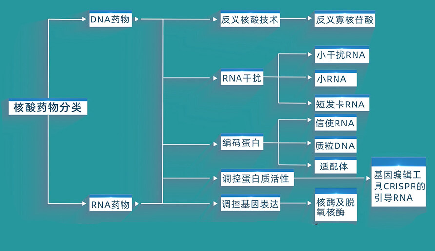 核酸药物的分类有哪些？？？？？？？