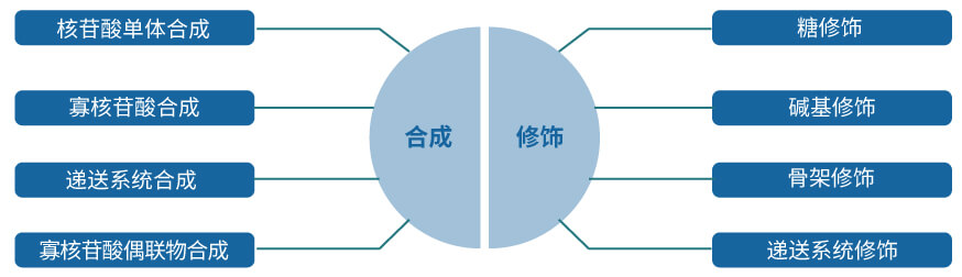CA88核酸药物研发效劳平台.jpg CA88核酸药物研发效劳平台.jpg
