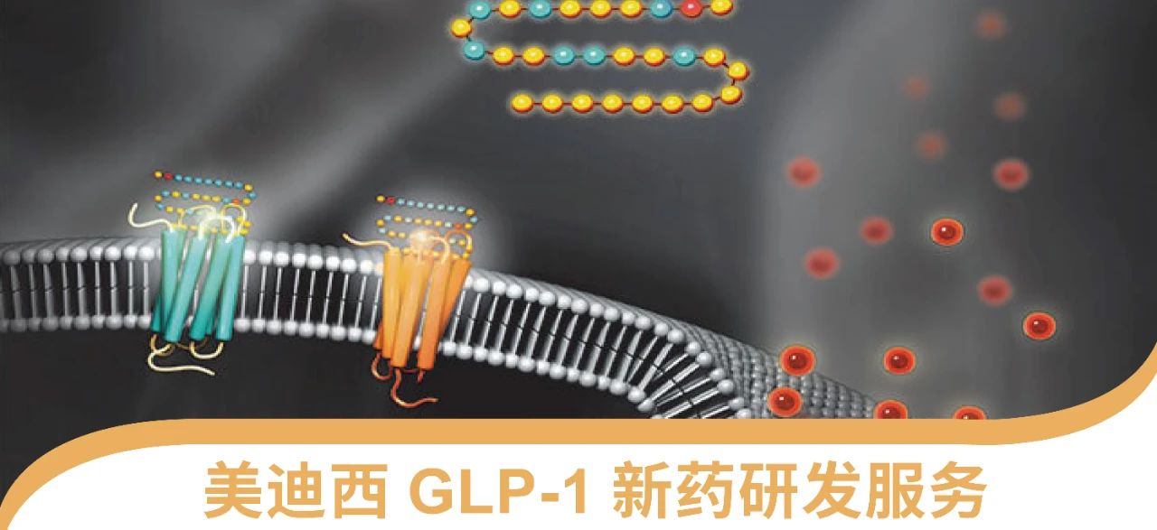 CA88一站式 丨 “GLP-1”新药研发效劳能力先容