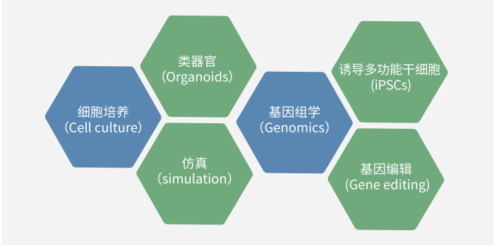 六大手艺板块已上线，，，，一连升级中.jpg