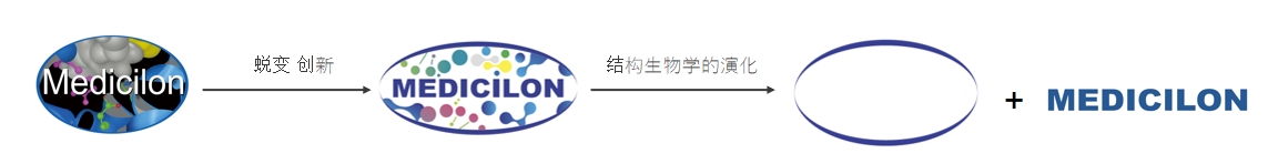 椭圆形作为自然界的完善形态，，，象征着CA88在顺应情形转变中一直演化