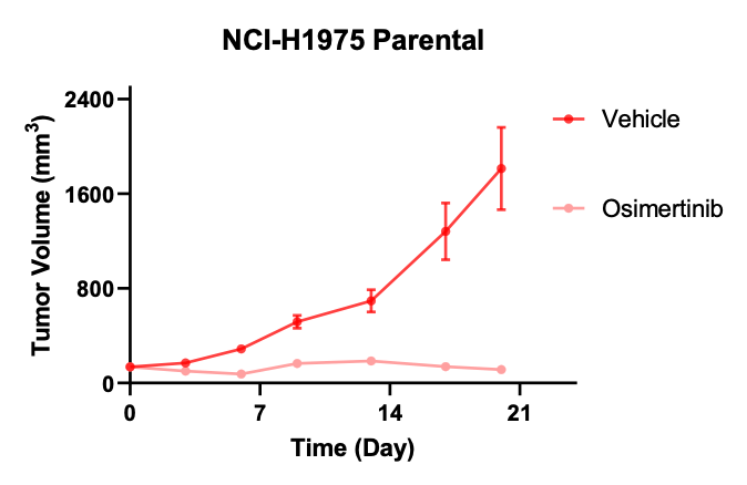 NCI-H1975奥希替尼耐药NSCLC模子-体内药效筛选-1.png NCI-H1975奥希替尼耐药NSCLC模子-体内药效筛选-1.png