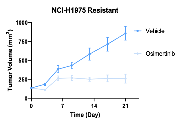 NCI-H1975奥希替尼耐药NSCLC模子-体内药效筛选-2.png NCI-H1975奥希替尼耐药NSCLC模子-体内药效筛选-2.png